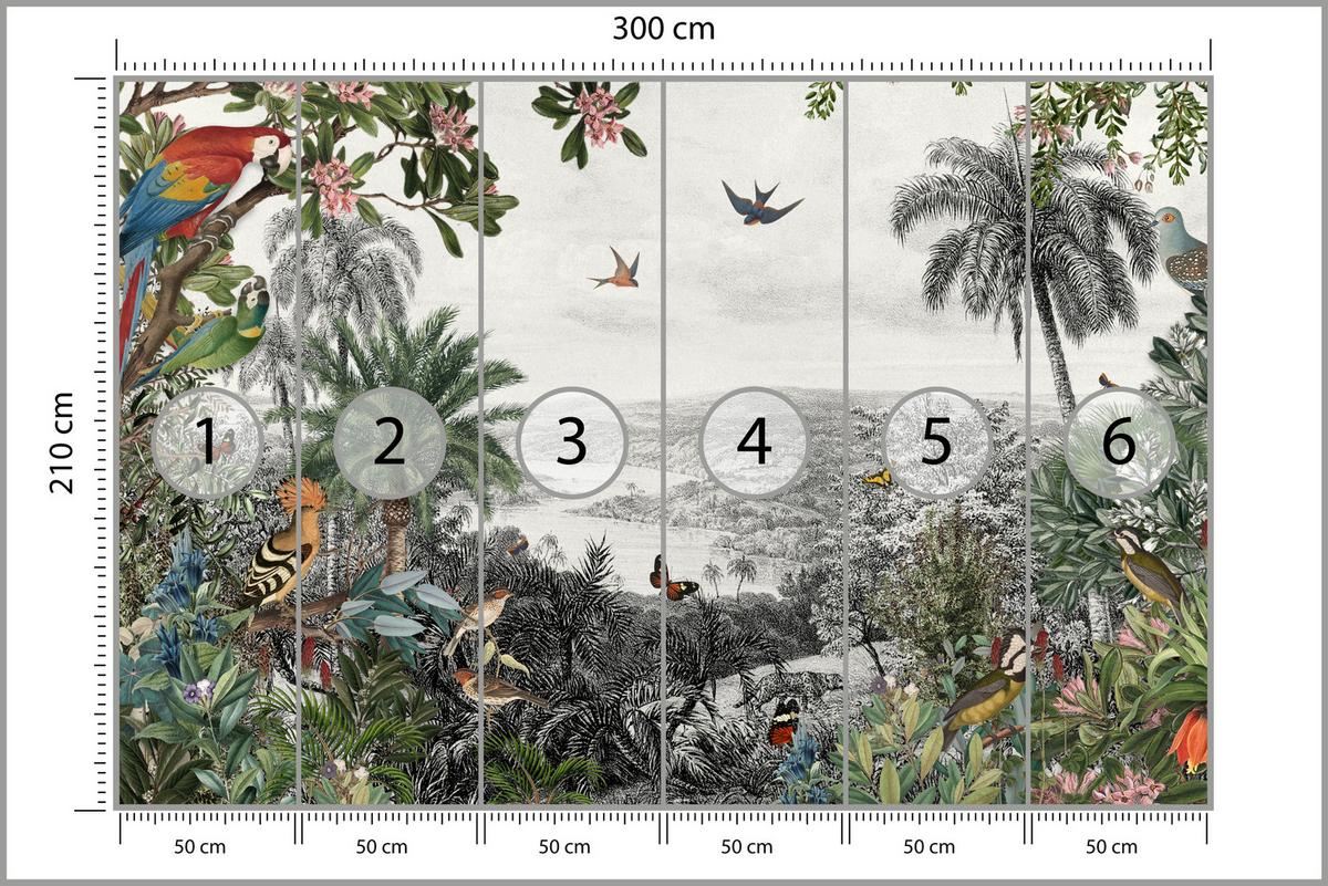 FOTOTAPETE für Wohnzimmer Tropenpapageien Vögel Palmen 300x210 - Gelb/Rot, Papier (300/210cm) - Muralo