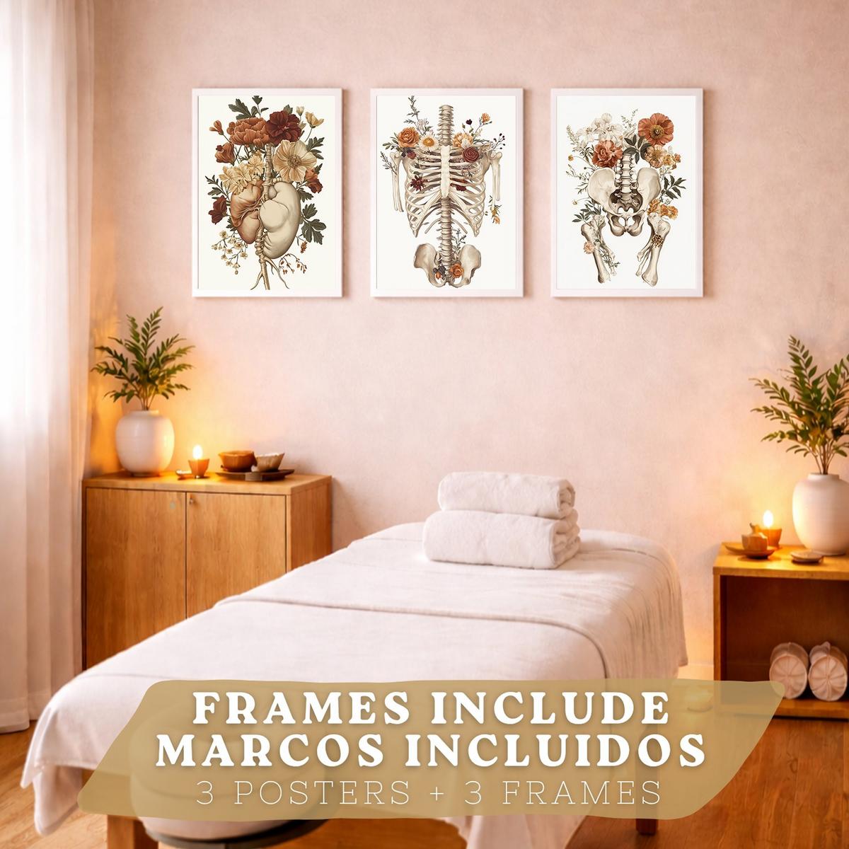 POSTER Set aus 3 Anatomie Mensch Florale Vintage Drucke und Wandbilder mit Herz Brustkorb und Becken Wanddekoration Größe Weißer Rahmen A4 - Weiß, Papier (21/29.7/3cm) - Nacnic