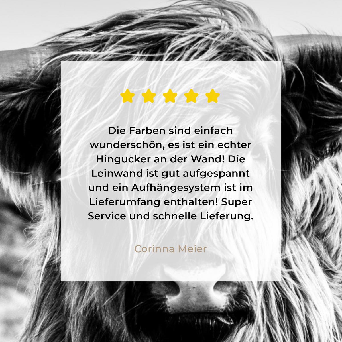 LEINWANDBILD Kuh - Schottischer Hochländer - Schwarz - Weiß - Tier - Natur - Wildtiere Room Decor 30x40 cm - Schwarz, Textil (30/40cm) - MuchoWow