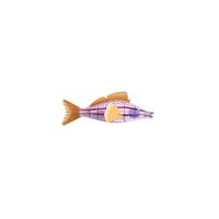 WANDDEKO Kreativer Fisch 8/8.5 cm - Multicolor, Wellpappe (8/8.5/26cm) - Studio Roof
