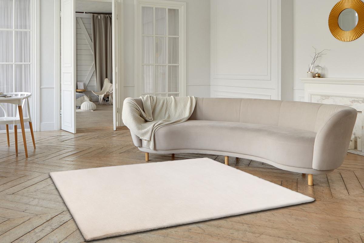 TEPPICH Teddy New 120/170 cm - Beige, Textil (120/170cm) - rugsX