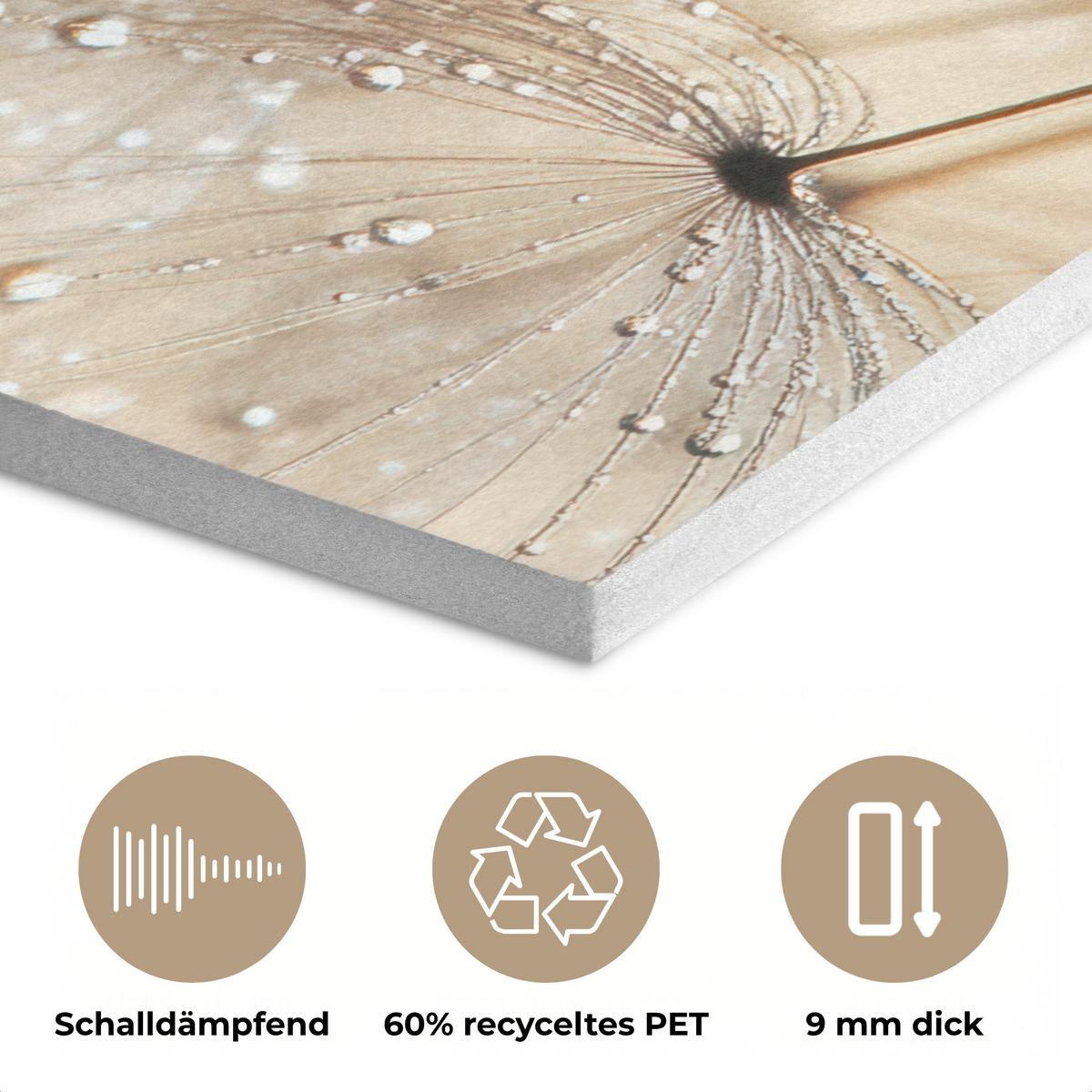 AKUSTIKBILD Löwenzahn - Abstrakt - Natur - Beige Wanddeko 70x50 cm - Braun, Kunststoff (70/50/0.9cm) - MuchoWow