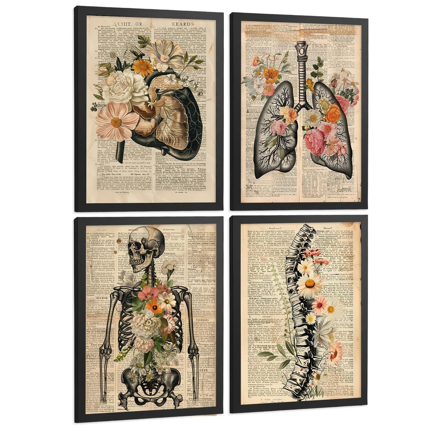 POSTER Set aus 4 Anatomie Drucke und Wandbilder mit Leber Lungen Atmungssystem Skelett Schädel Wirbelsäule Zeitungsstil Größe Schwarzer Rahmen A4 - Schwarz, Papier (21/29.7/3cm) - Nacnic