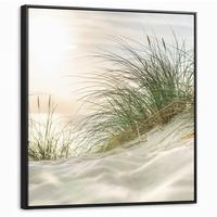 LEINWAND Bilder mit Rahmen - Dünen mit Strandhafer in der Sonne des Nationalparks Schleswig-Holsteinisches Wattenmeer - 90x90 - Creme, Textil (90/90cm) - MuchoWow