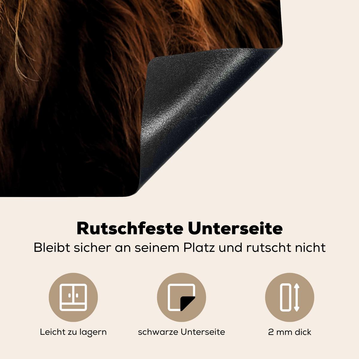 HERDABDECKPLATTE Schottischer Highlander - Hörner - Schwarz - Tiere - Natur - Wild - Kuh Induktionsmatte 77x59 cm - Cognac, Kunststoff (77/59/0.2cm) - MuchoWow