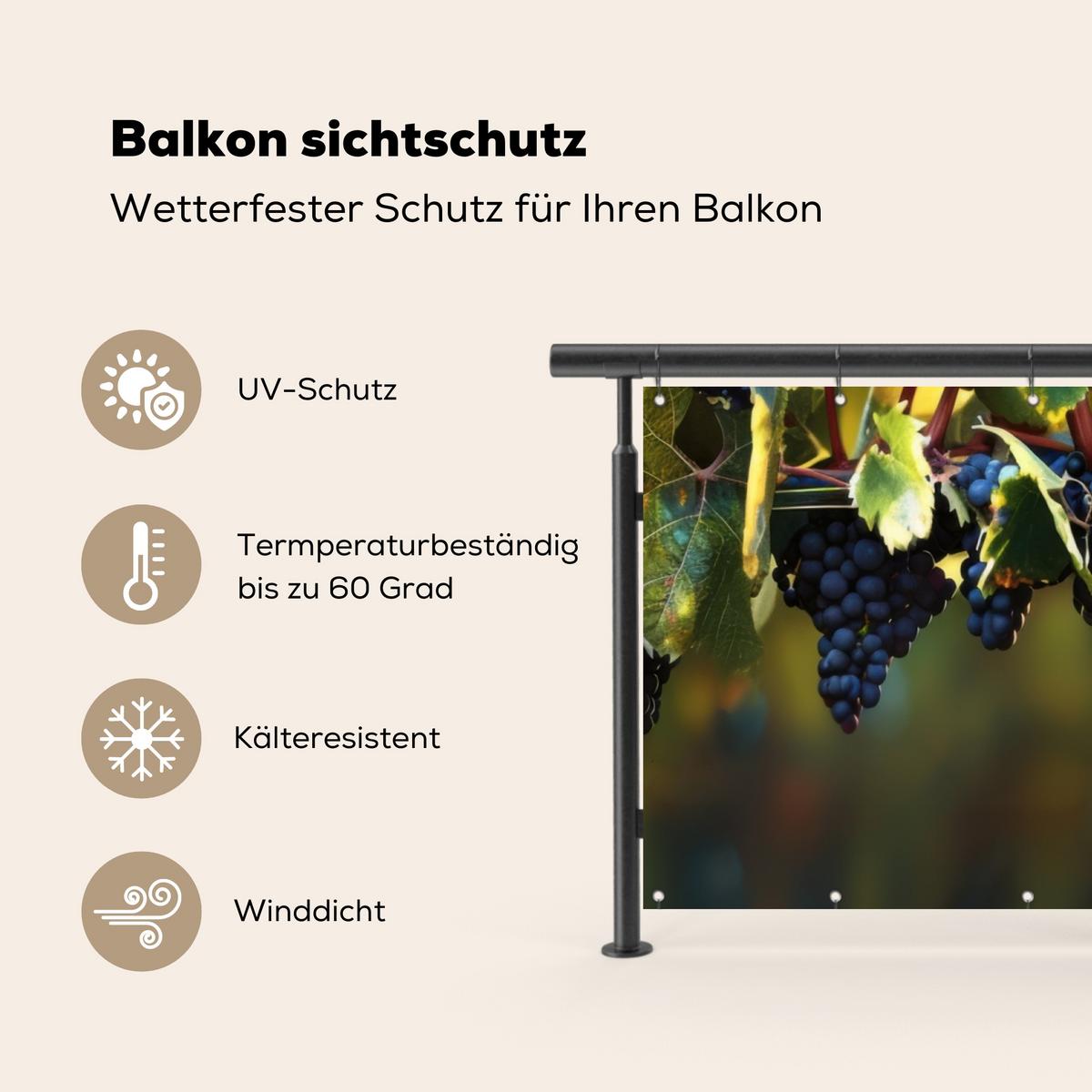 BALKON-SICHTSCHUTZ Trauben - Wein - Natur - Grün Balkon Deko 300x110 cm - Weinrot, Kunststoff (300/110cm) - MuchoWow