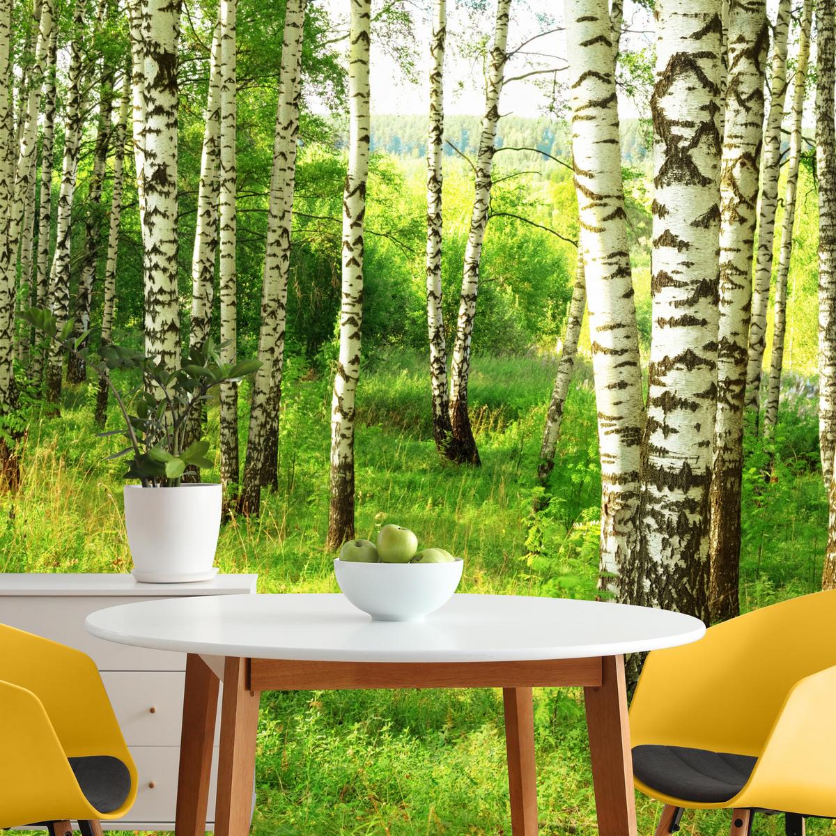 FOTOTAPETE für Esszimmer Birkenwald Bäume Natur 3D 100x70 - Schwarz/Braun, Papier (100/70cm) - Muralo