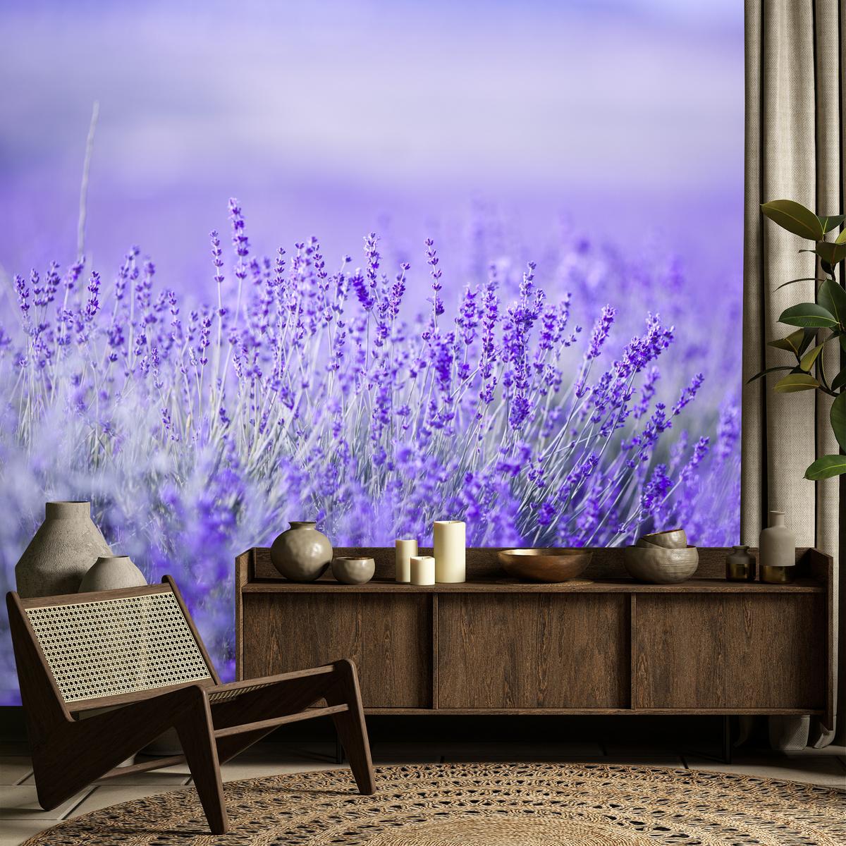 FOTOTAPETE für Küche Lavendelwiese Blüten Fliederfeld 100x70 - Violett/Lila, Papier (100/70cm) - Muralo