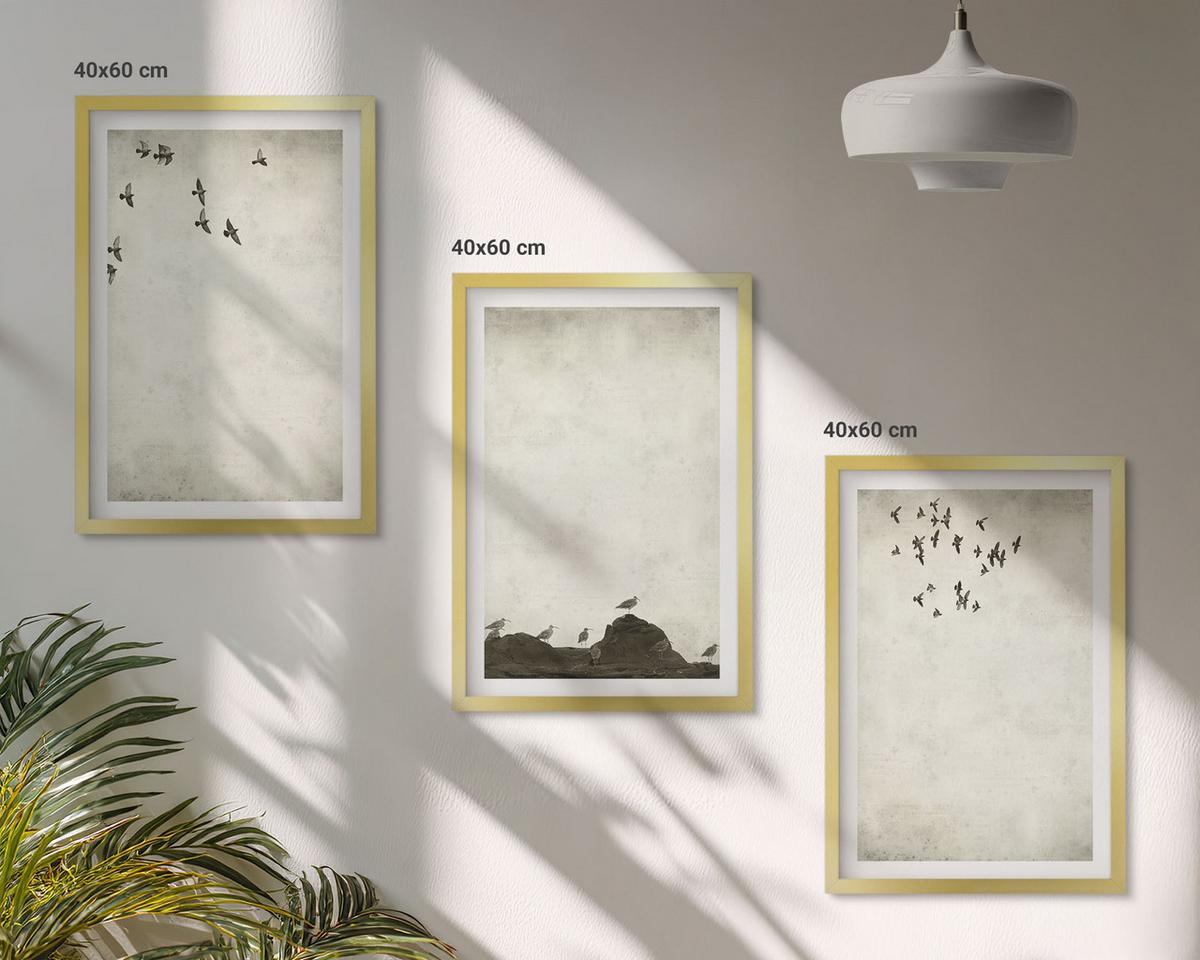 BILDER SET 3er Set - 40x60 cm Goldrahmen - Fliegende Vögel Minimalismus - Goldfarben, Kunststoff (40/60cm) - TULUP
