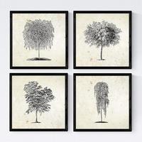 POSTER Set mit 4 Bädern Bäume verschiedene Blätter Weinlese Altpapierhintergrund 20x20cm Schwarzer Rahmen - Schwarz, Papier (20/3cm) - Nacnic