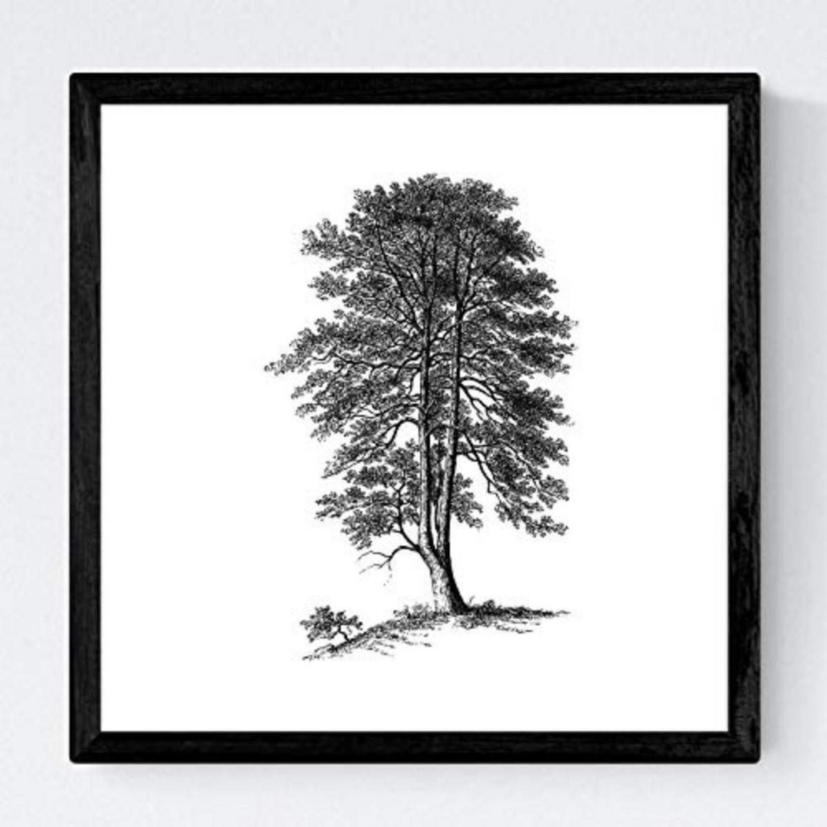POSTER Set mit 4 Blättern der weißer Hintergrund 20x20cm Schwarzer Rahmen - Schwarz, Papier (20/3cm) - Nacnic