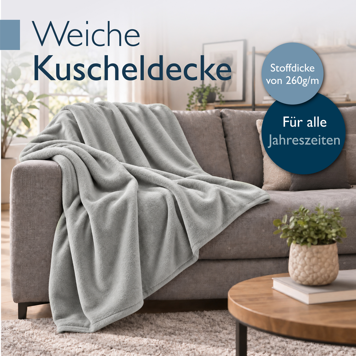 DECKE Aurelia 220/240 cm Hellgrau - Grau, Textil (240/220cm) - Beautissu 