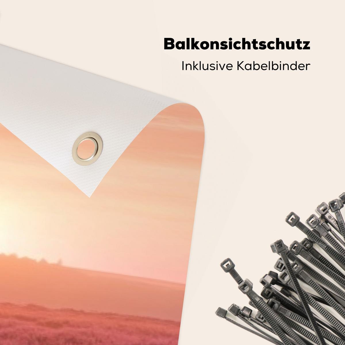 BALKON-SICHTSCHUTZ Baum - Heidekraut - Sonnenaufgang Windschutz 300x85 cm - Flieder, Kunststoff (300/85cm) - MuchoWow