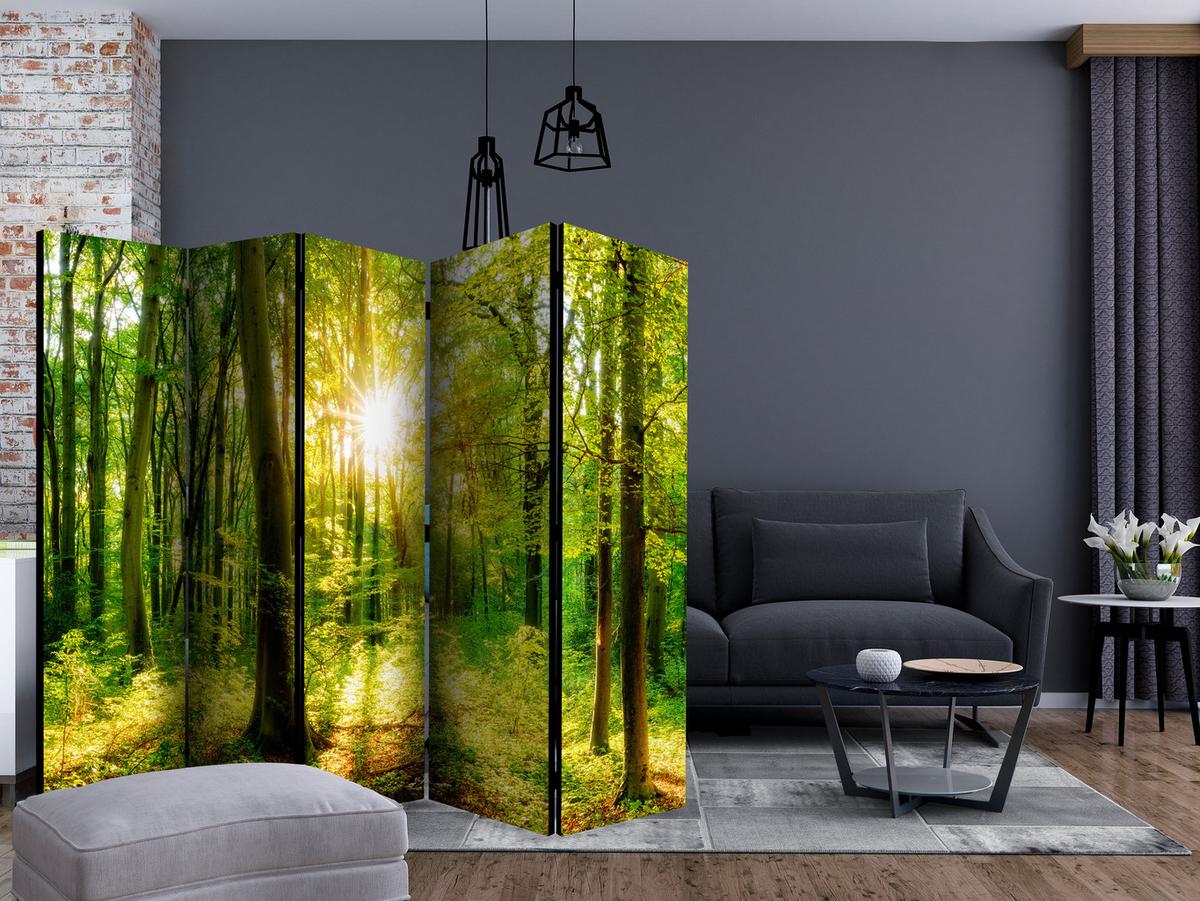 PARAVENT Akustik 5-tlg 225x172 cm Sonnenstrahlen Im Wald - Grün, Holz/Textil (225/172/3cm) - Muralo