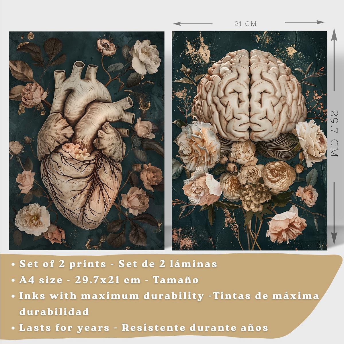 POSTER Set aus 2 Anatomie Mensch Drucke und mit Herz und Gehirn Elegante Florale Illustration Grüner Hintergrund Größe Leichter Holzrahmen A4 - Beige, Papier (21/29.7/3cm) - Nacnic