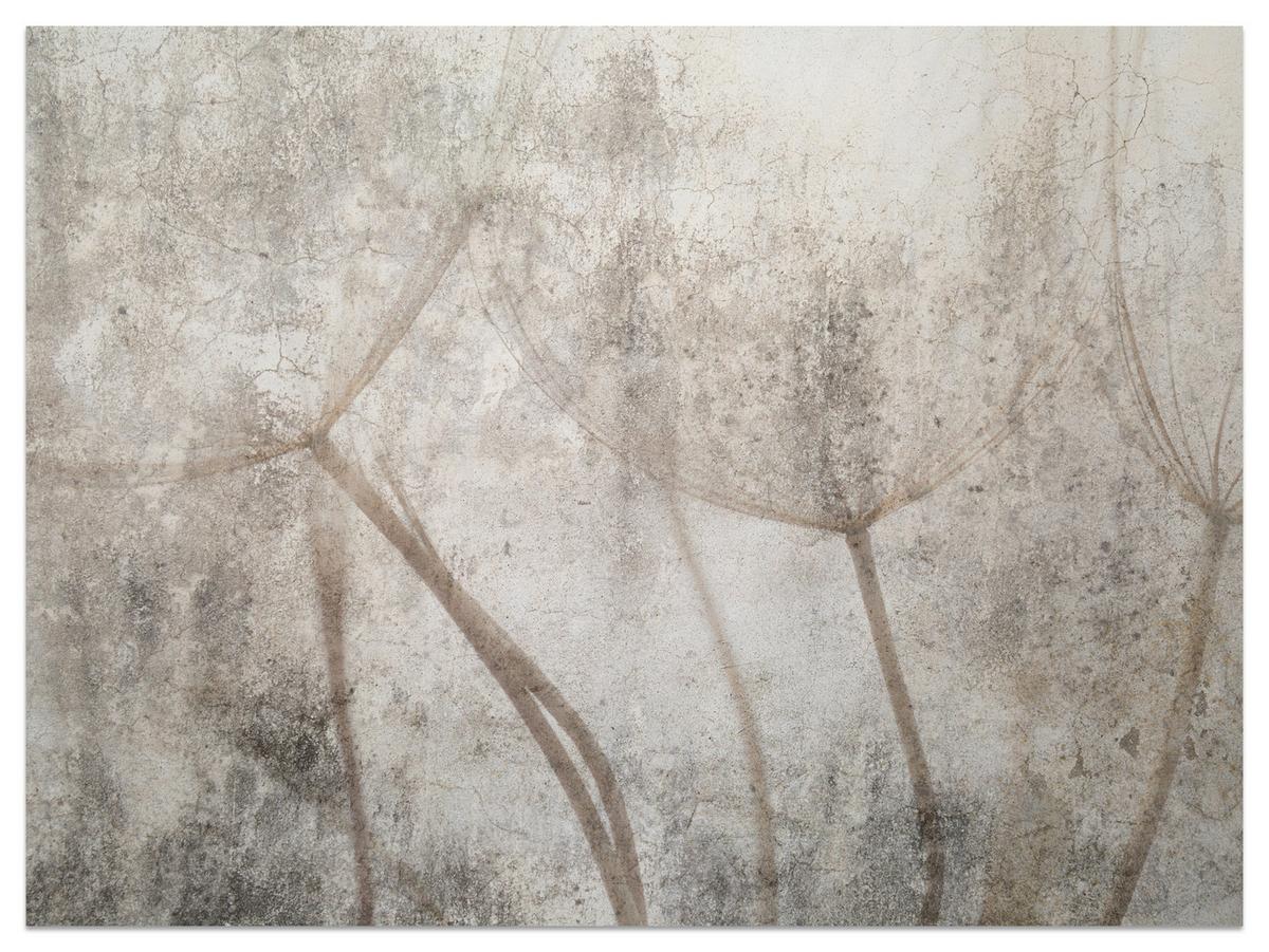 FOTOTAPETE für Wohnzimmer Zarter Skizze Löwenzahn Grauer Beton Minimalistisch 150x105 - Beige/Braun, Papier (150/105cm) - Muralo