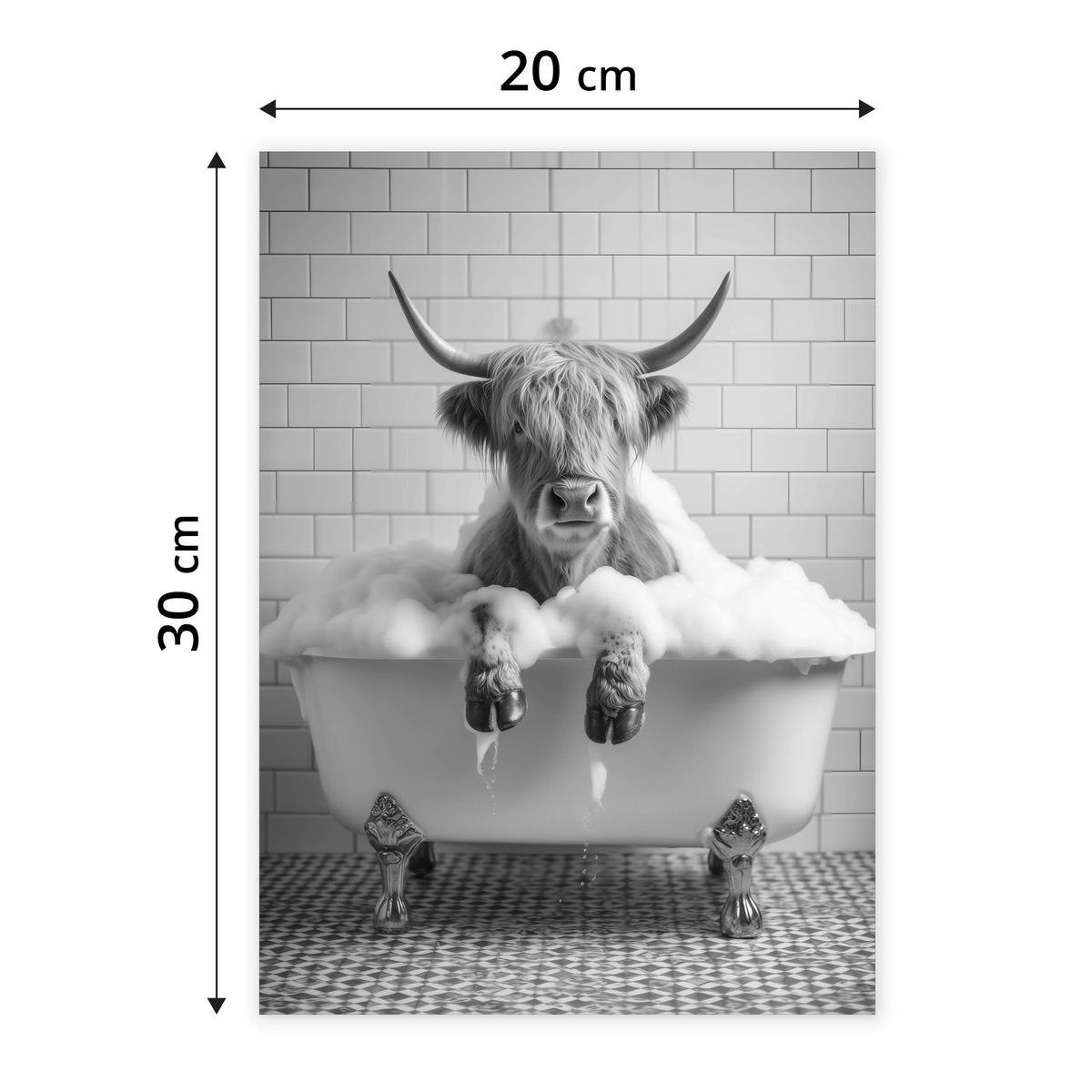 POSTER für WC Badezimmer SCHOTTISCHE KUH in Badewanne Schwarz-Weiß Abstraktion 20x30cm - Schwarz/Weiß, Papier (20/30/30cm) - Muralo
