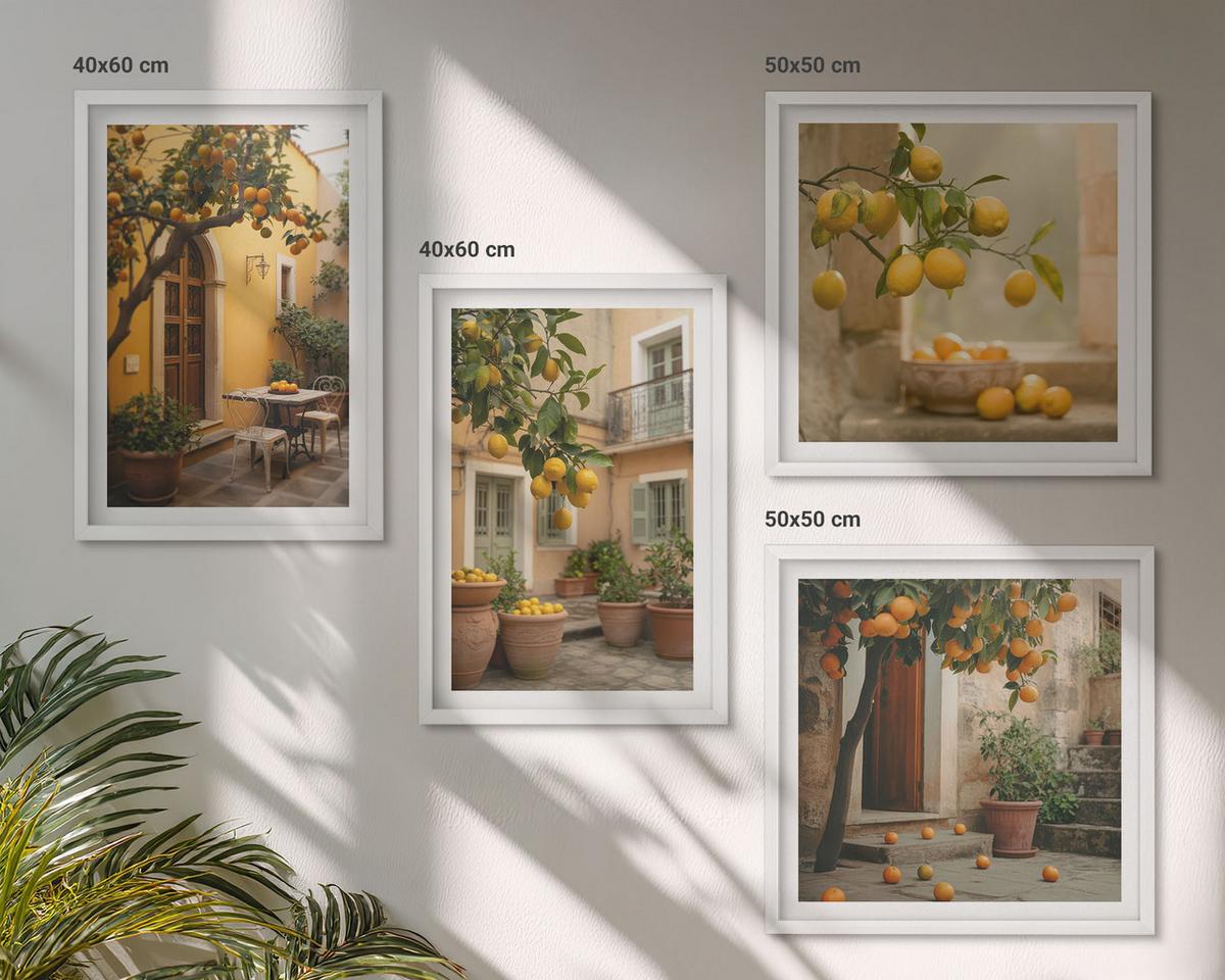 BILDER SET 4er Set - 50x50 cm & 40x60 cm Weißer Rahmen - Zitrusgarten in der Sonne - Weiß, Kunststoff (50/50cm) - TULUP
