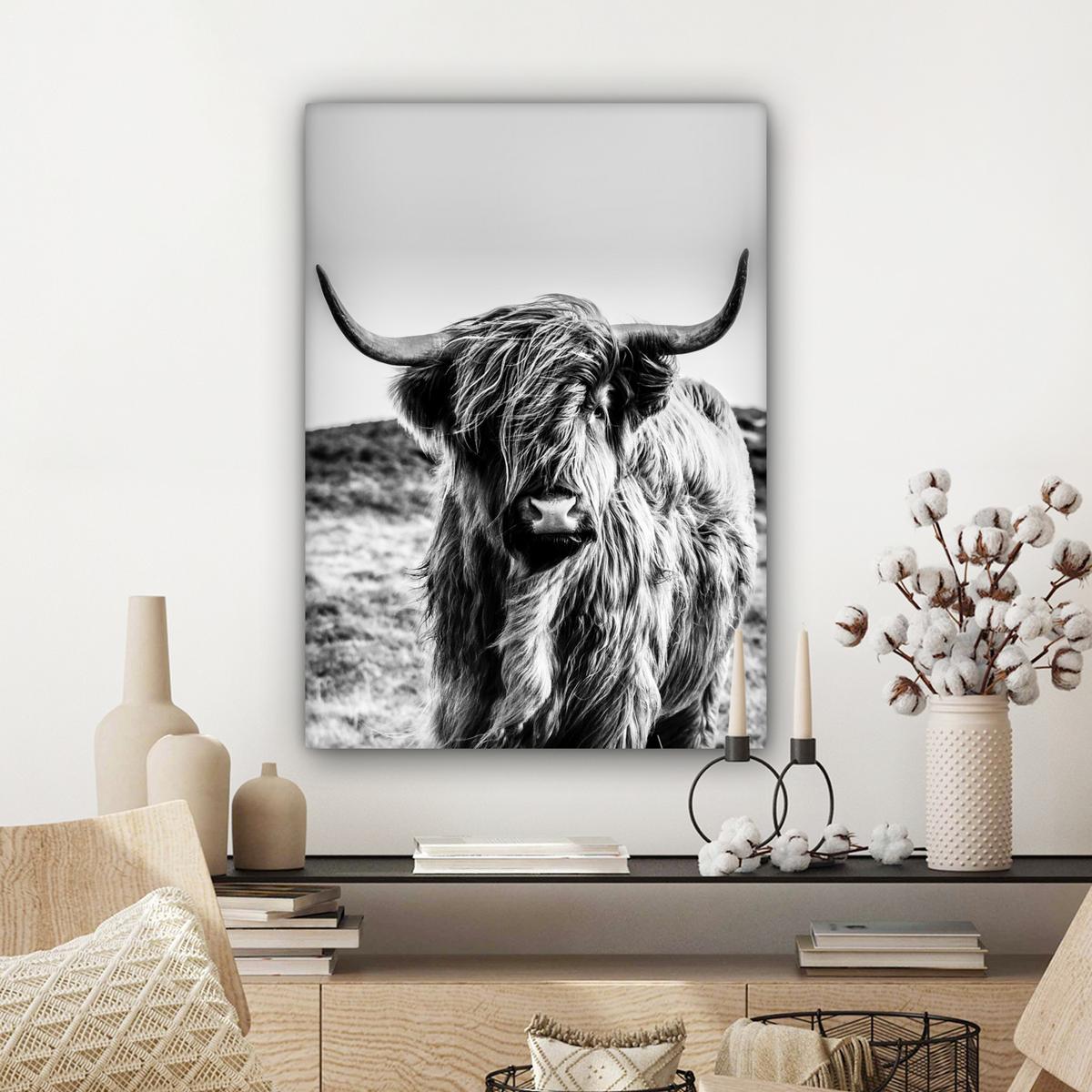 LEINWANDBILD Kuh - Schottischer Hochländer - Schwarz - Weiß - Tier - Natur - Wildtiere Wandbild Wohnzimmer 60x80 cm - Schwarz, Textil (60/80cm) - MuchoWow