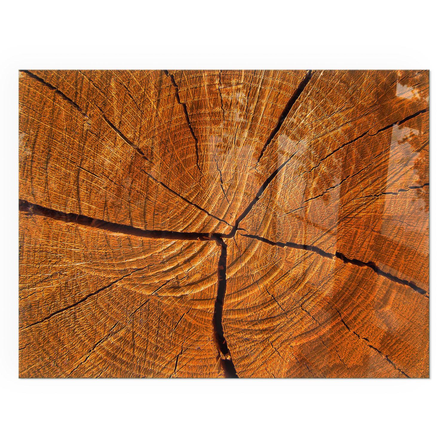GLASPLATTE für Kamin 80x60 cm - Orange, Glas (80/60/0.4cm) - TULUP