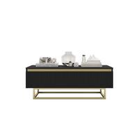 COUCHTISCH Selene Schwarz matt 109 cm mit Metallrahmen - Goldfarben/Schwarz, Holzwerkstoff/Metall (50/109/39cm) - Meble Lindner