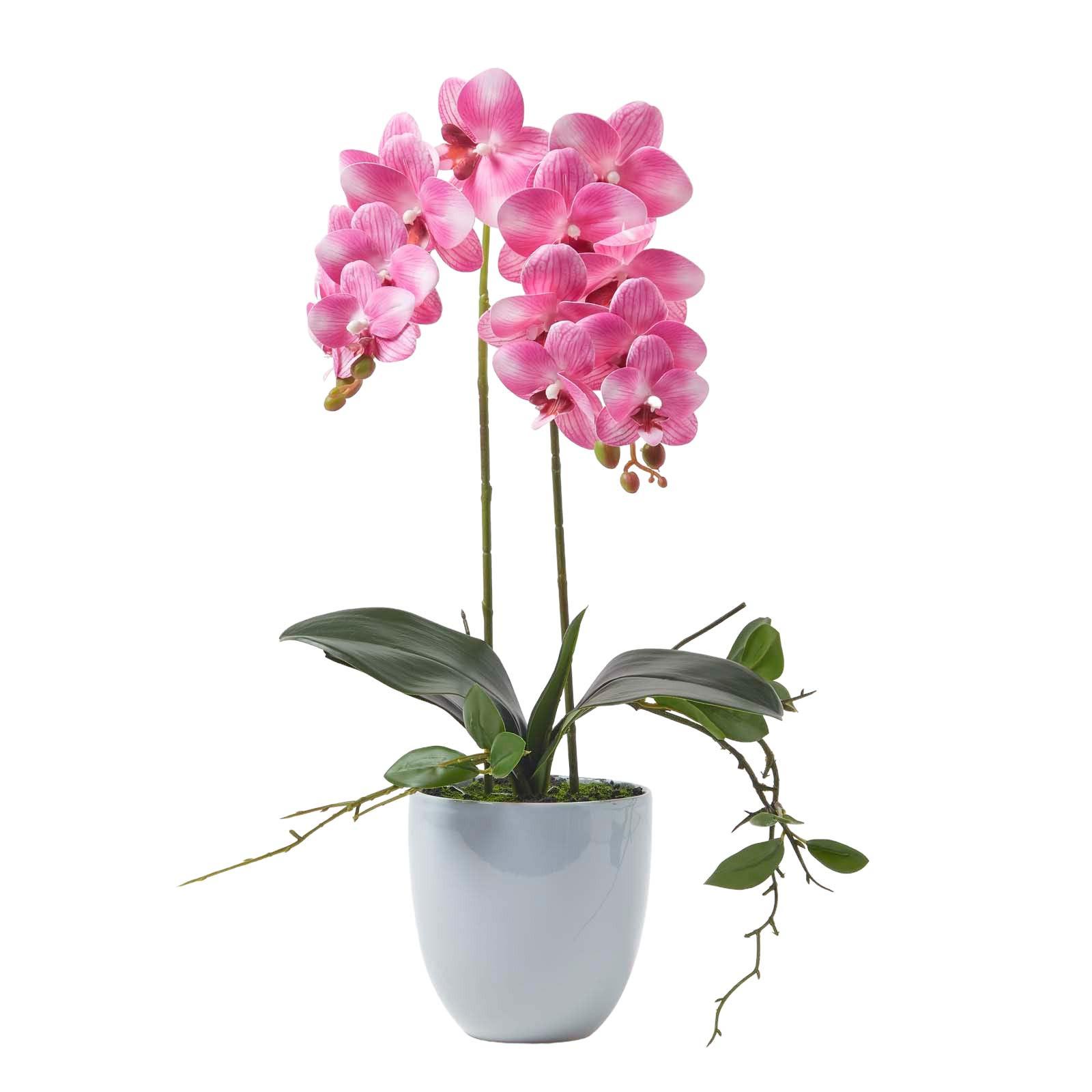KUNSTBLUME Orchidee rosa im Deko-Topf, 54 cm - Rosa, Kunststoff (54cm) - Homescapes