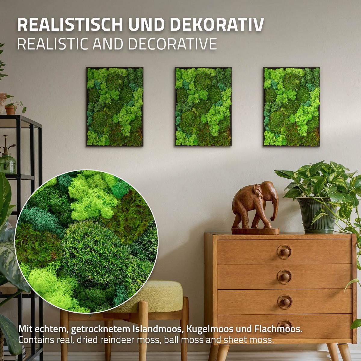 MOOSBILD Rechteck 38 x 27 cm Mooswand Indoor mit echtem echtem Kugelmoos-Islandmoos-Flachmoos-Mix und Holzrahmen Grün - Waldgrün, Naturmaterialien (27/38/3.5cm) - ECD-Germany