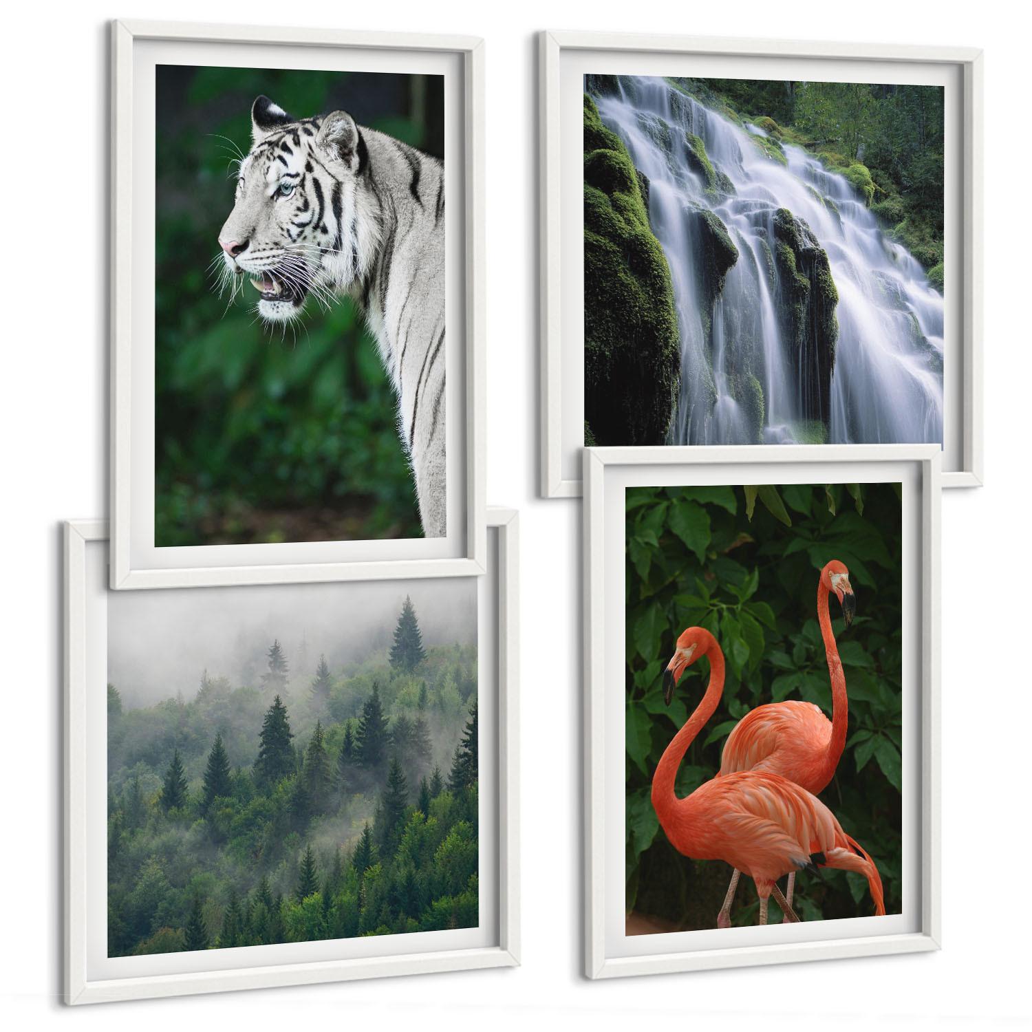 BILDER SET 4er Set - 50x50 cm & 40x60 cm Weißer Rahmen - Tiger Wasserfall Flamingos Natur - Weiß, Kunststoff (50/50cm) - TULUP