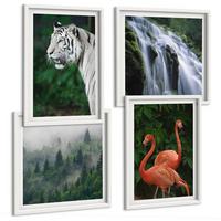 BILDER SET 4er Set - 50x50 cm & 40x60 cm Weißer Rahmen - Tiger Wasserfall Flamingos Natur - Weiß, Kunststoff (50/50cm) - TULUP