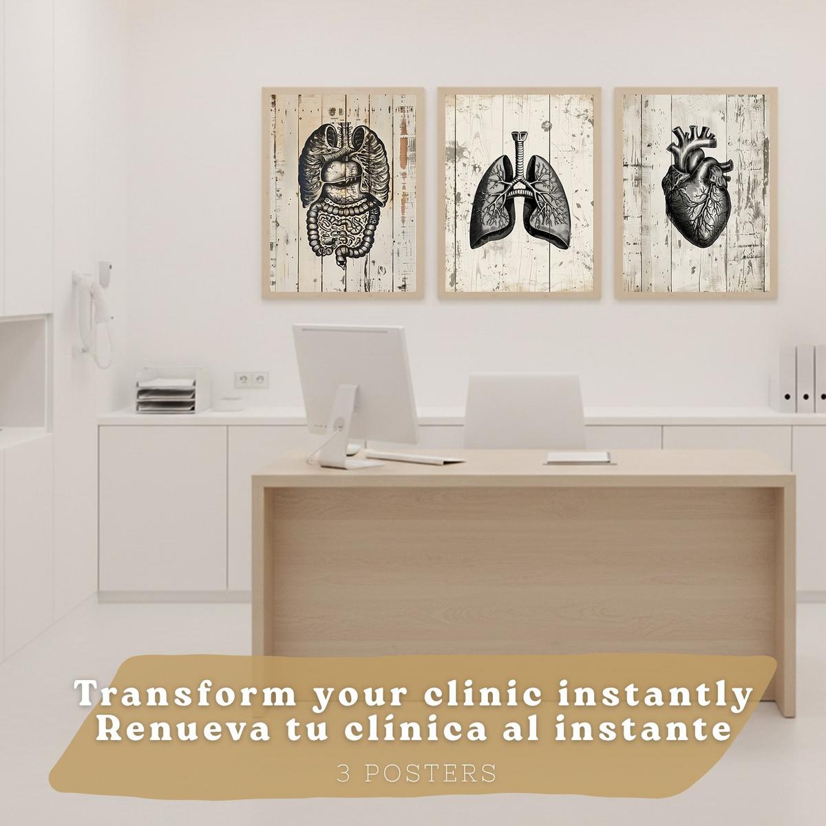 POSTER Set aus 3 Anatomie Mensch Drucke und Wandbilder mit Lungen Darm und Herz Rustikaler Stil Wanddekoration Größe Leichter Holzrahmen A4 - Beige, Papier (21/29.7/3cm) - Nacnic