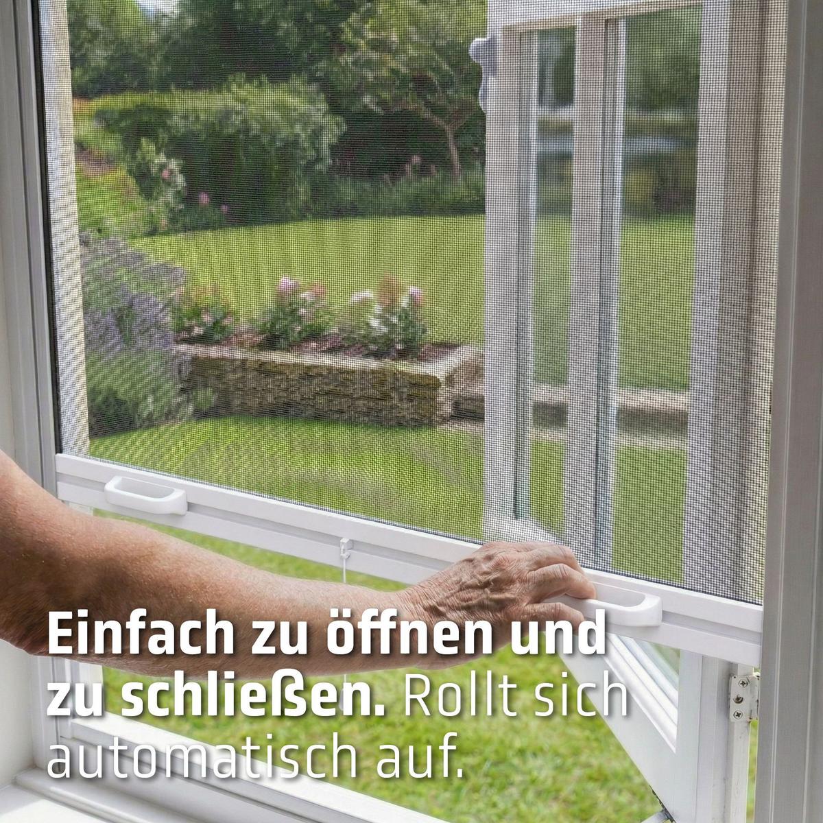 INSEKTENSCHUTZROLLO mit Kassette Anthrazit - Anthrazit, Kunststoff (80/150/3.7cm) - Cocoon Home Concepts