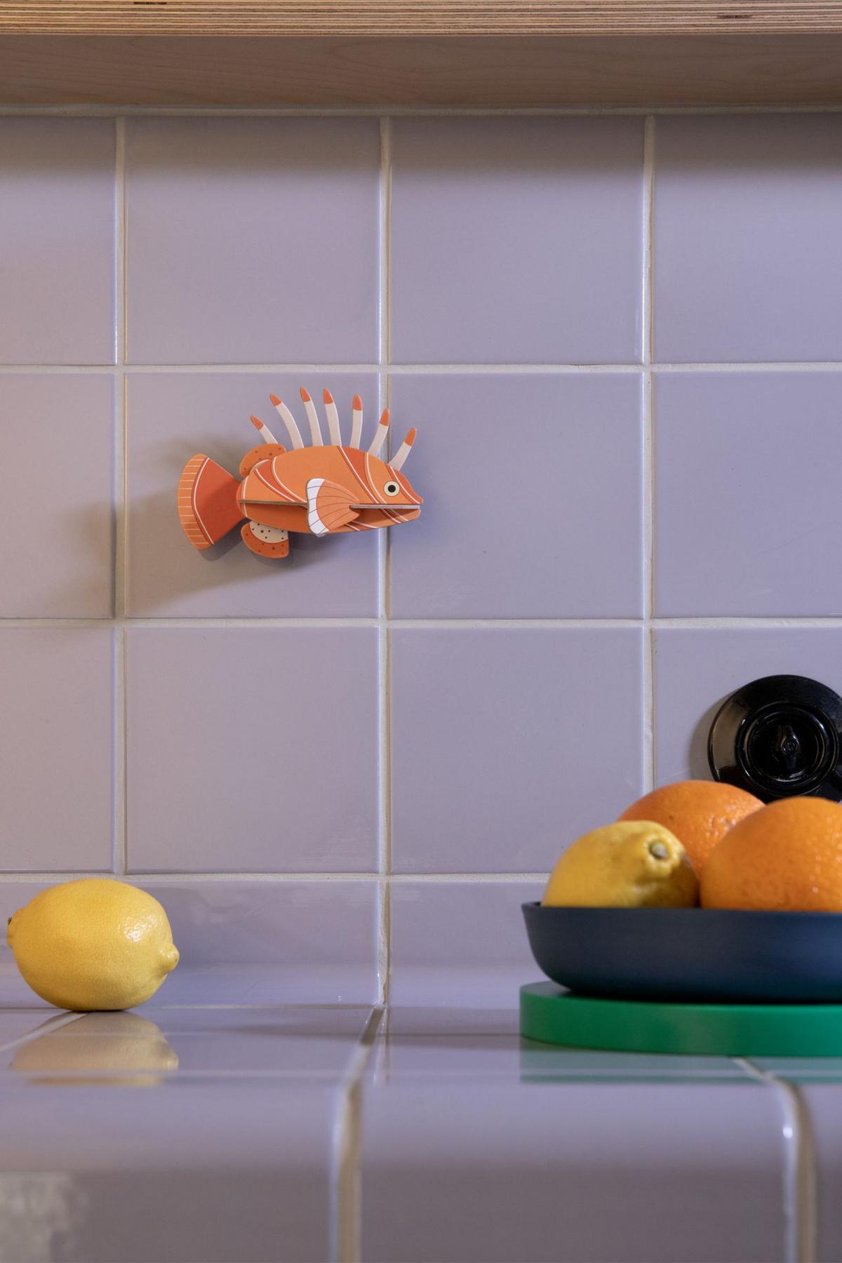 WANDDEKO Mutiger Rotfeuerfisch 6/9.7 cm - Multicolor, Wellpappe (6/9.7/14cm) - Studio Roof