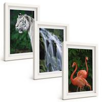 BILDER SET 3er Set - 20x30 cm Weißer Rahmen - Tiger Wasserfall Flamingos Natur - Weiß, Kunststoff (20/30cm) - TULUP