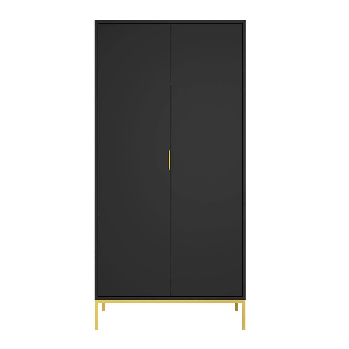SCHRANK 2 Türen Seattle Schwarz - Schwarz, Holzwerkstoff (100/205.4/55cm) - Petits-meubles