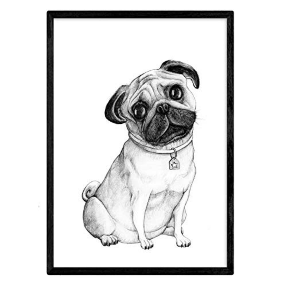 POSTER Weißer Mops A3 Schwarzer Rahmen - Schwarz, Papier (29.7/5/42cm) - Nacnic