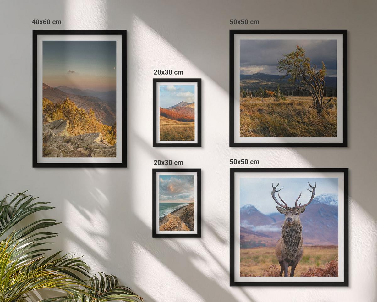 BILDER SET 5er Set - 50x50 cm & 20x30 cm & 40x60 cm Schwarzer Rahmen - Berglandschaften, Hirschgras - Schwarz, Kunststoff (40/60cm) - TULUP