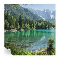 FOTOTAPETE 250x250 cm - Grüner See - Grün, Textil (250/250cm) - Wallfluent