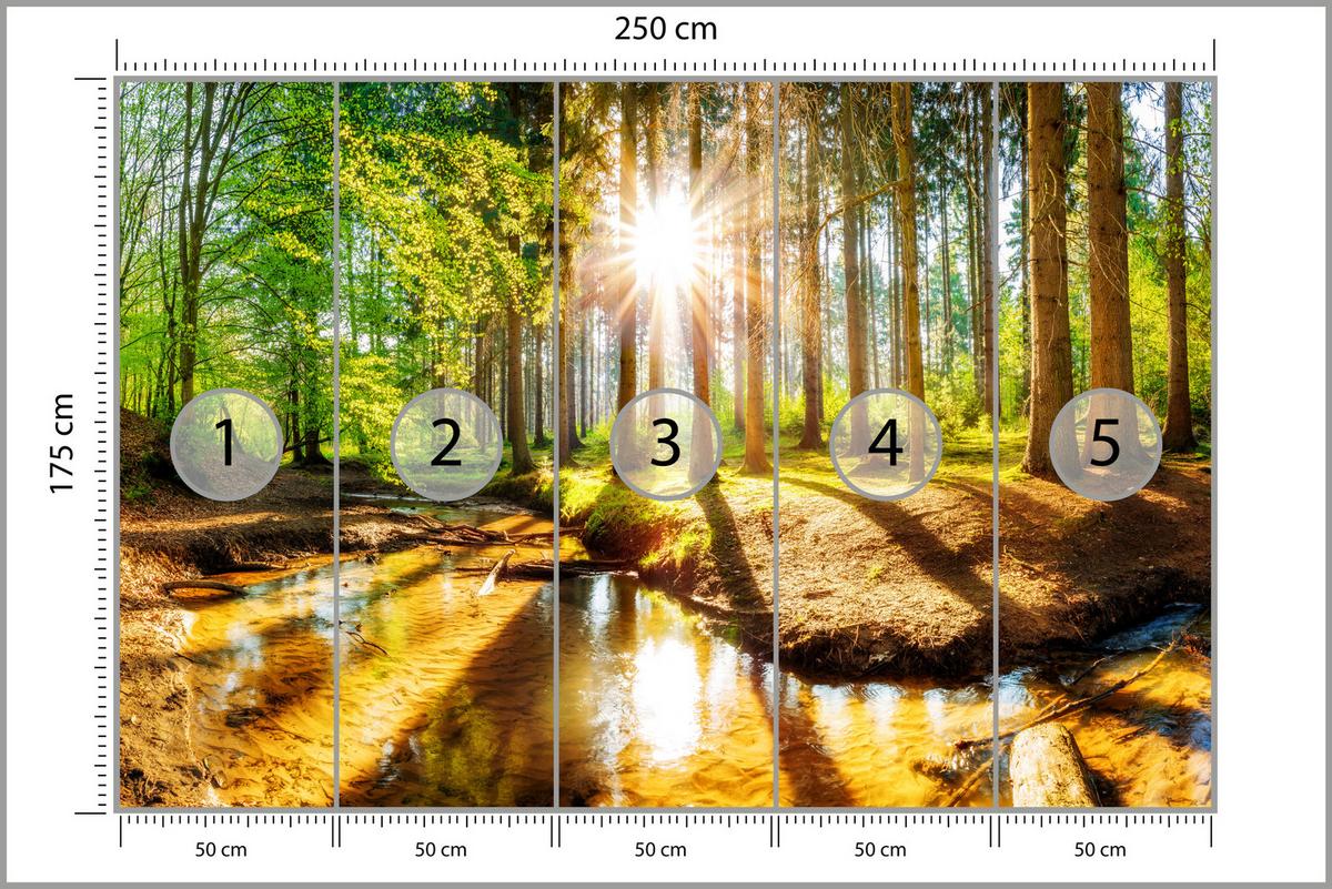 FOTOTAPETE für Wohnzimmer Pflanzen Natur Gras Sonniger Wald Bäume 250x175 - Multicolor, Papier (250/175cm) - Muralo