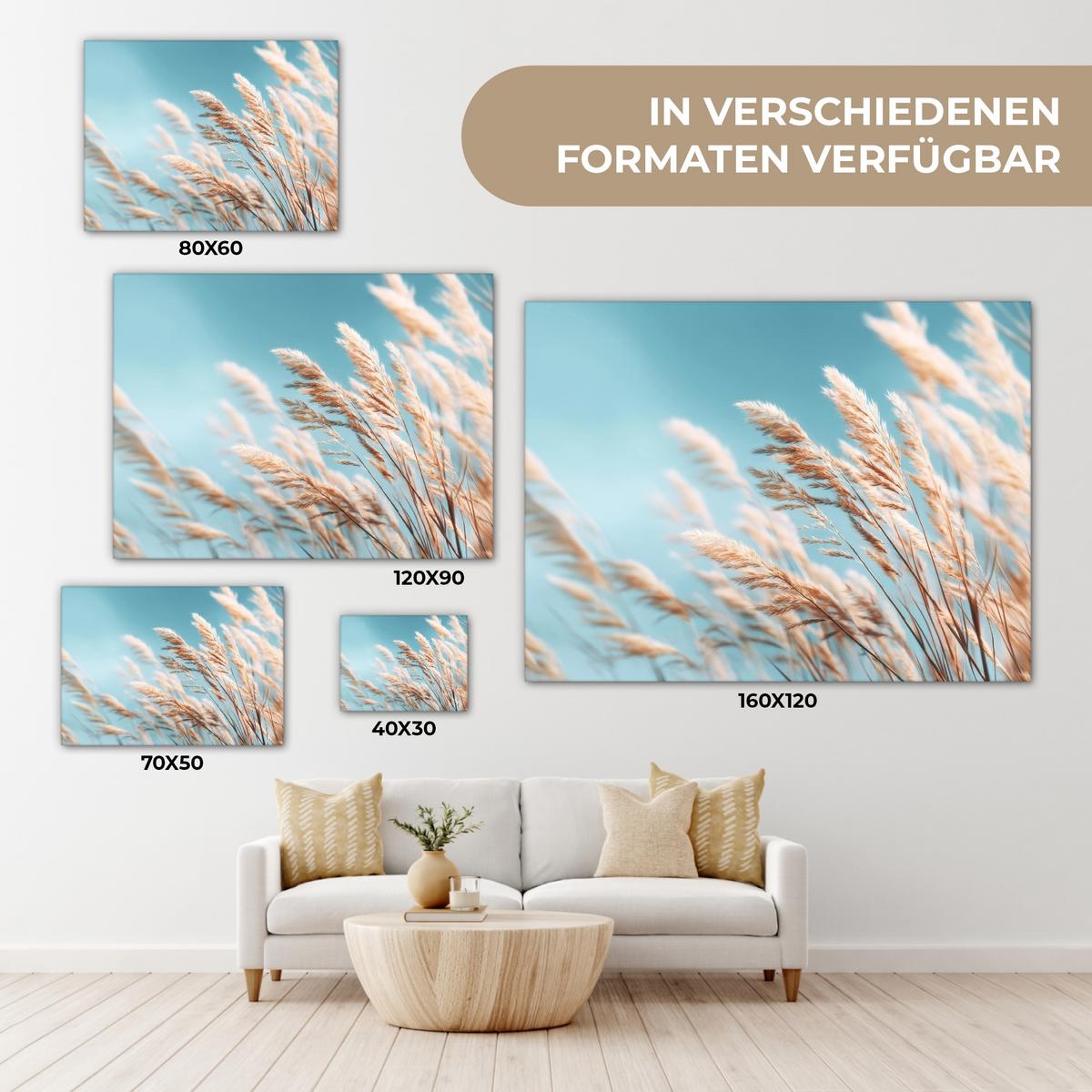 LEINWANDBILD Ziergras - Wind - Hellbraun Wandbild 40x30 cm - Hellblau, Textil (40/30cm) - MuchoWow