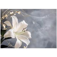 FOTOTAPETE Blumen Blätter Wohnzimmer Vlies Tapete 150x105 - Multicolor, Papier (150/105cm) - Wallarena