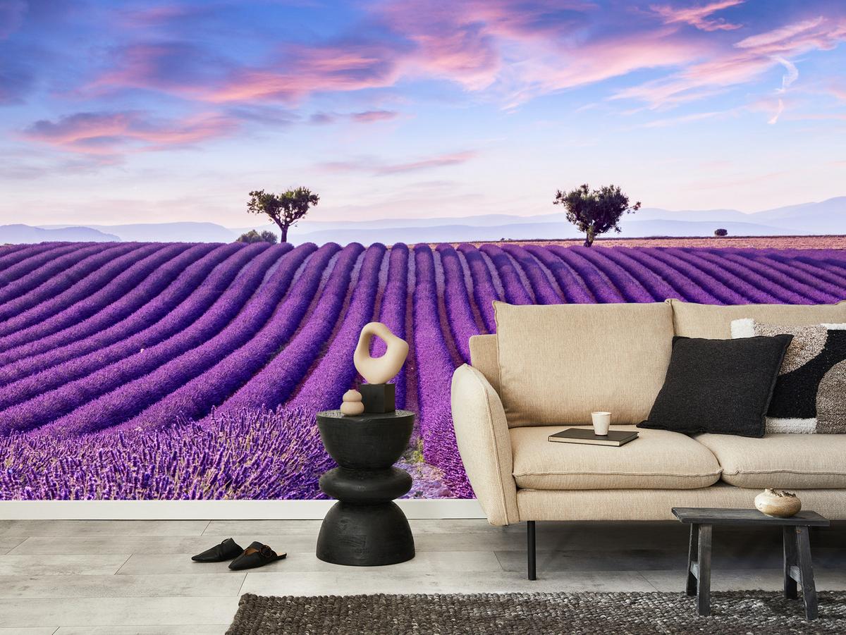 FOTOTAPETE für Küche Lavendelfeld Lila Natur Sträucher 400x280 - Blau/Violett, Papier (400/280cm) - Muralo