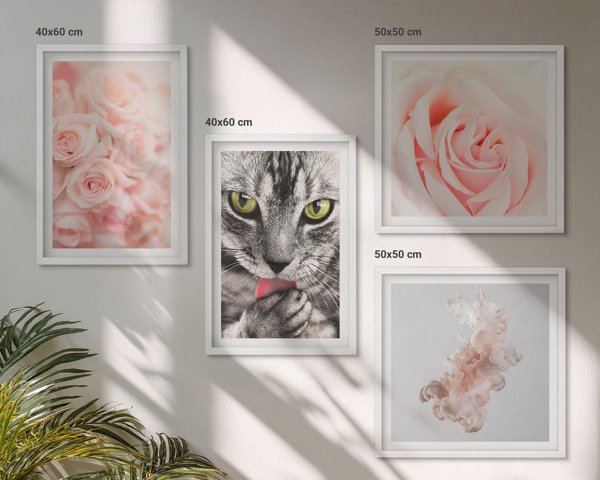 BILDER SET 4er Set - 50x50 cm & 40x60 cm Weißer Rahmen - Abstrakte Darstellung von grauen Katzenrosen - Weiß, Kunststoff (50/50cm) - TULUP