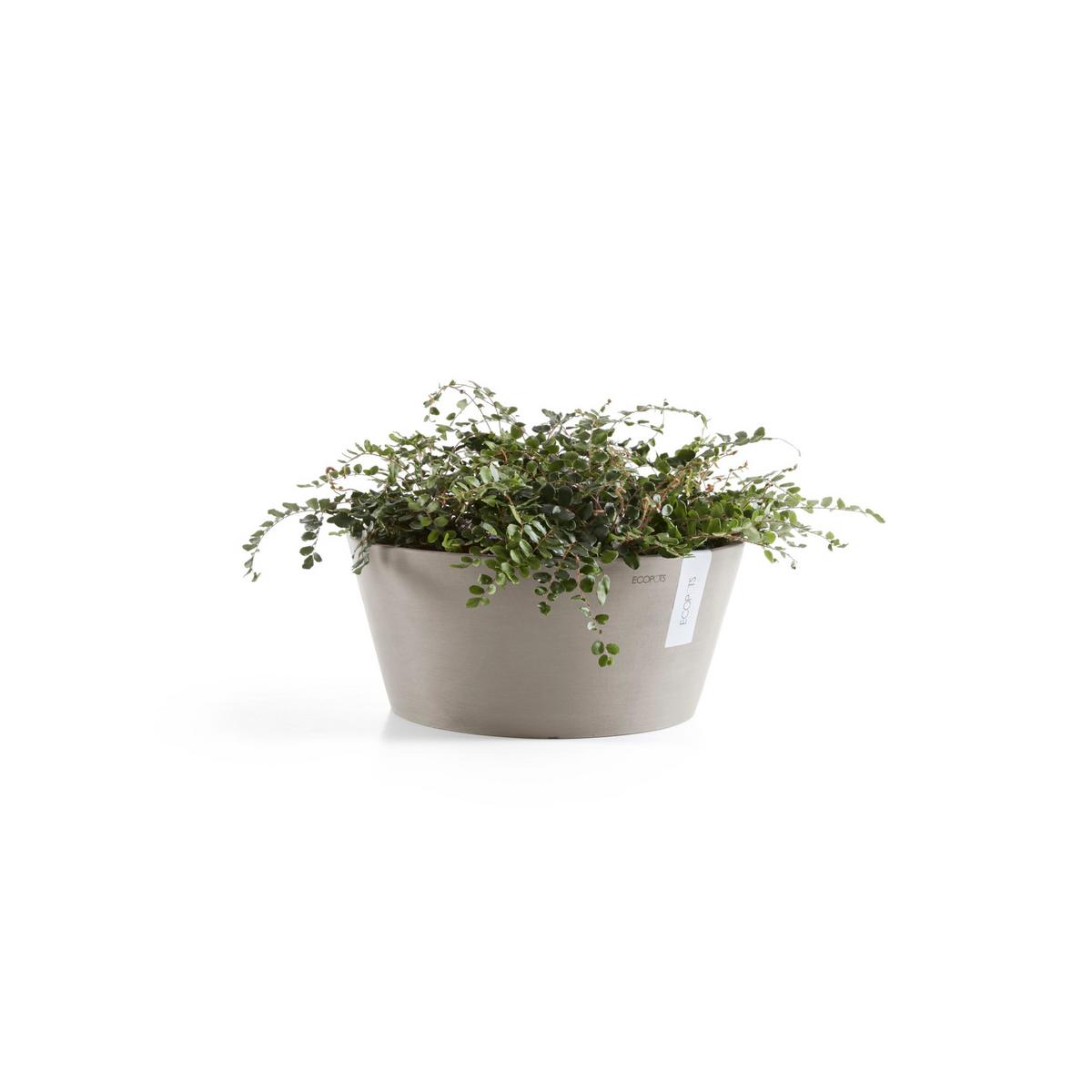 BLUMENTOPF Frankfurt 30,6/15,6 cm Taupe - Taupe, Kunststoff (30.6/15.6cm) - Ecopots