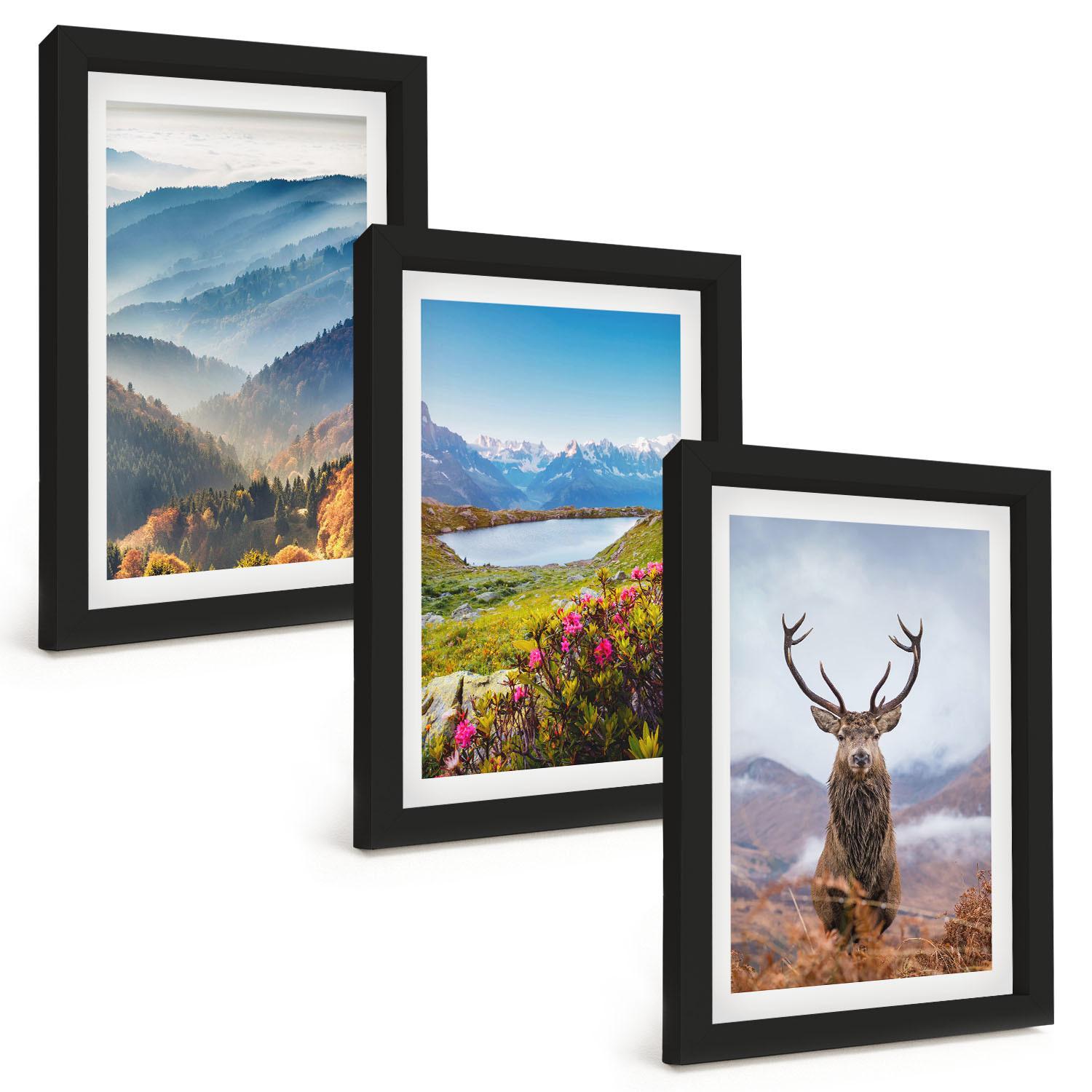BILDER SET 3er Set - 20x30 cm Schwarzer Rahmen - Natur des Bergseehirsches - Schwarz, Kunststoff (20/30cm) - TULUP