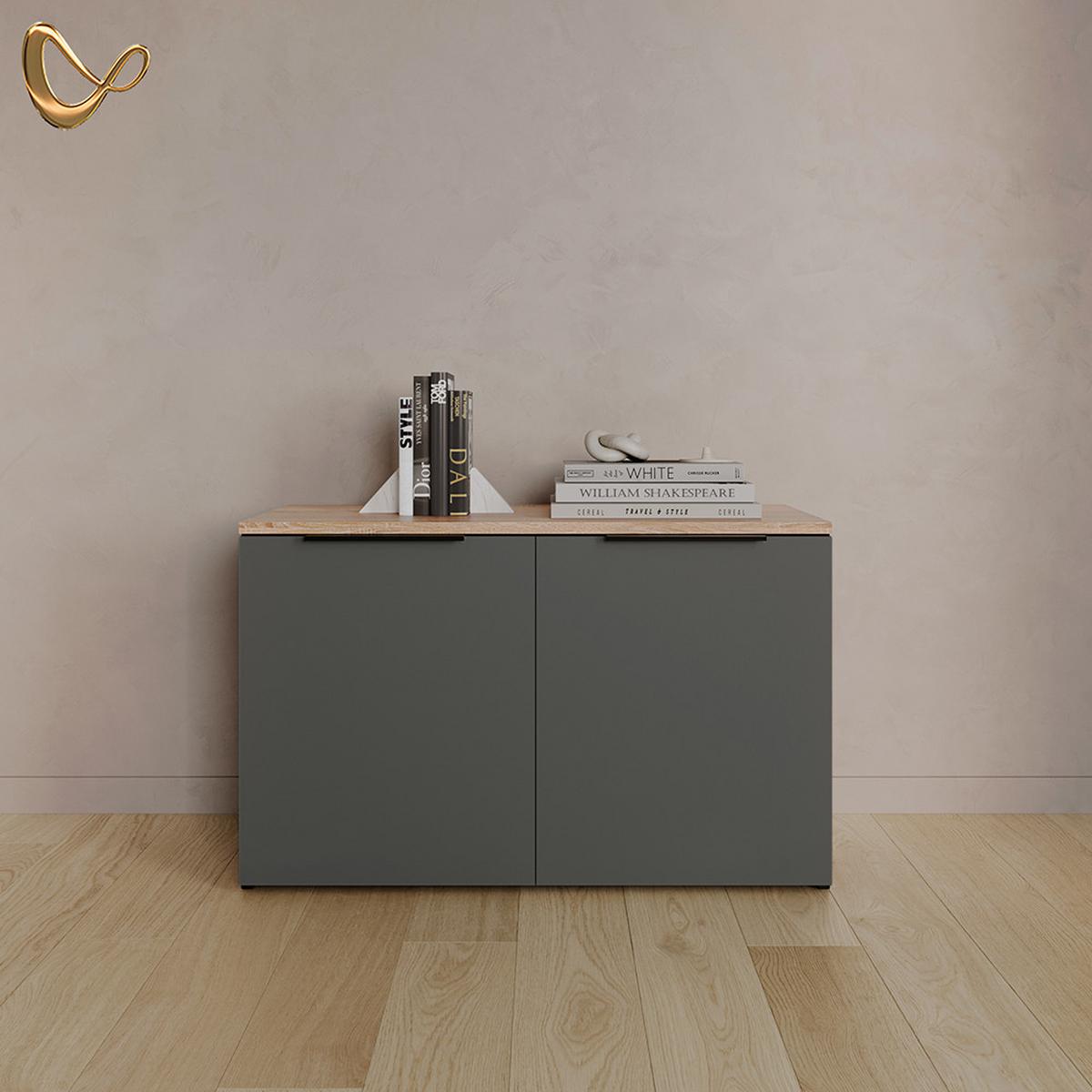 KOMMODE Piave Anthrazit mit 2 Türen - Anthrazit, Holzwerkstoff (80/50/40cm) - Livinity®