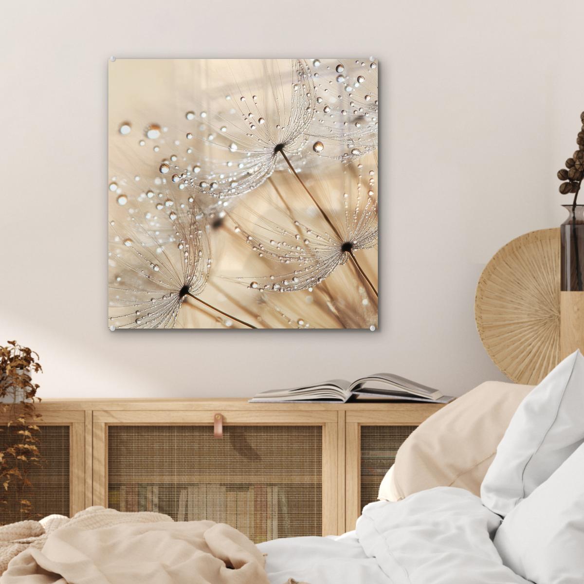 ACRYLGLASBILD Löwenzahn - Abstrakt - Natur - Beige 50x50 cm - Braun, Glas (50/50cm) - MuchoWow