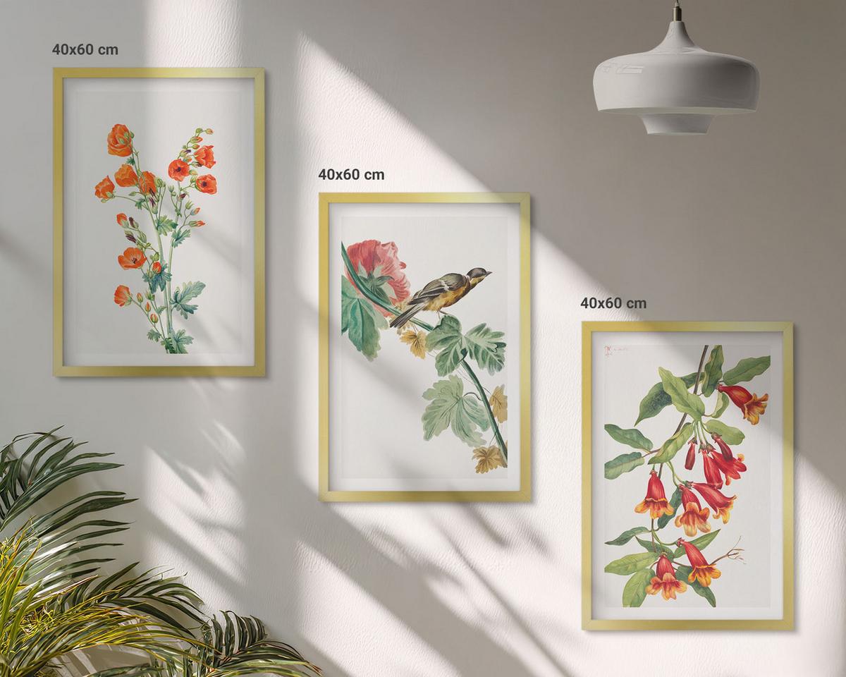 BILDER SET 3er Set - 40x60 cm Goldrahmen - Gemalte Blumen und ein Vogel - Goldfarben, Kunststoff (40/60cm) - TULUP