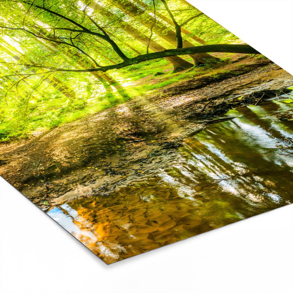 POSTER MIT RAHMENGERAHMTES BILD Wald - Landschaft - Wasser - Bäume - Sonne - Grün - Natur Posterleiste 60x80 cm - Grün, Papier (60/80cm) - MuchoWow
