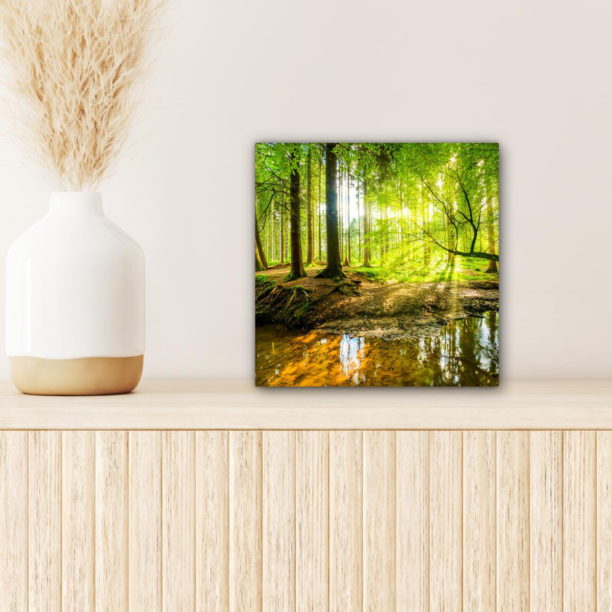 LEINWANDBILD Wald - Landschaft - Wasser - Bäume - Sonne - Grün - Natur Deko Wohnzimmer 20x20 cm - Grün, Textil (20/20cm) - MuchoWow