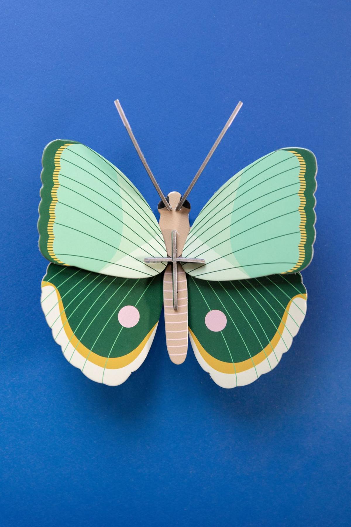 WANDDEKO Jade-Schmetterling 5/14 cm - Multicolor, Wellpappe (5/14/14cm) - Studio Roof